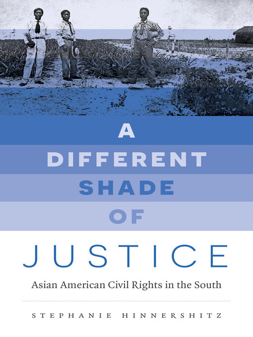 Cover image for A Different Shade of Justice